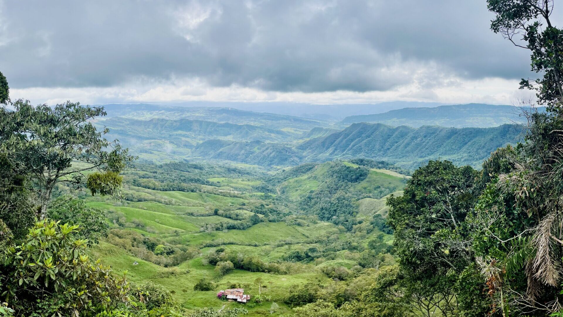 Suaita, Santander at a human, cattle, and cane landscape in the Central Colombian Andes